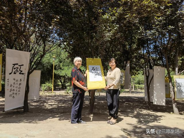 鄭飛院內(nèi)龍鳳和美之處，儷睿人“愿”字書幡隨風(fēng)飄揚(yáng)，金光耀眼