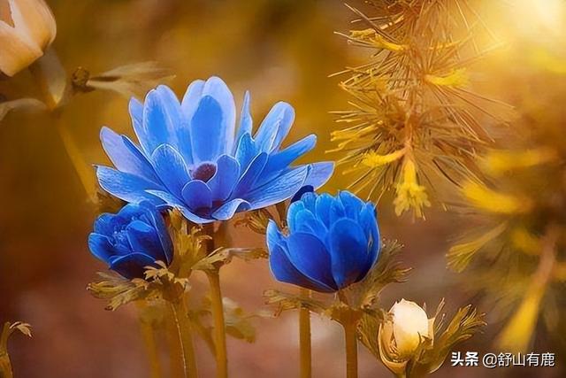 人這一生，到底是富貴命，還是勞碌命，只跟這兩點(diǎn)有關(guān)