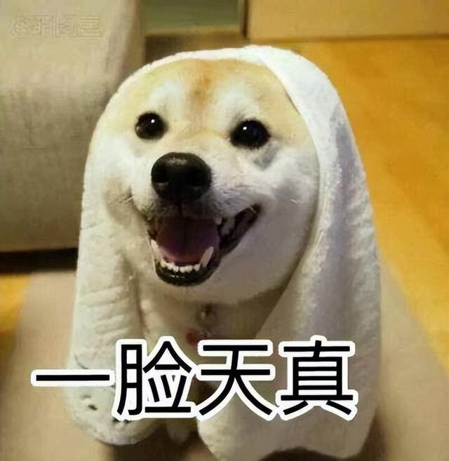論給狗狗“起名”，我們鏟屎官就沒輸過