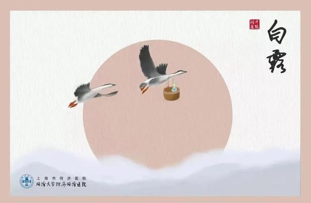 謝字五行屬什么？謝字五行屬什么的！