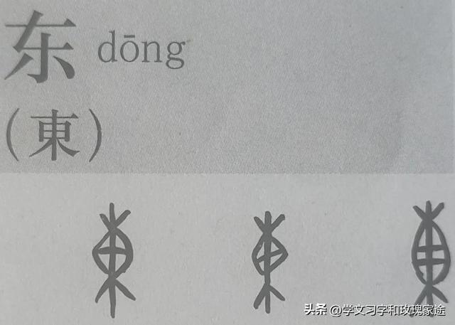 陳五行屬性是什么？陳五行屬性是什么意思！