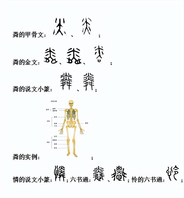 騏字五行屬什么的意思？騏字五行屬什么和意義！
