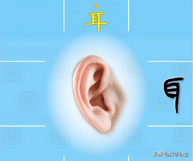 道開頭的成語有什么？道開頭的成語接龍大全！