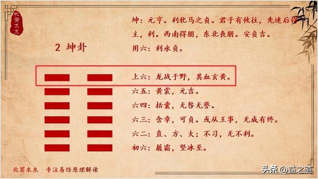 野字屬什么生肖？野字五行屬什么的！