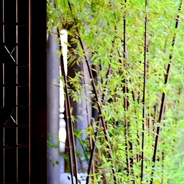 農(nóng)村民宿名稱大全簡(jiǎn)單大氣？農(nóng)村民宿名稱大全簡(jiǎn)單大氣四字！