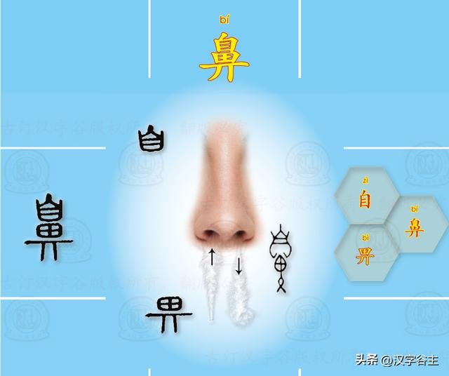 道開頭的成語有什么？道開頭的成語接龍大全！