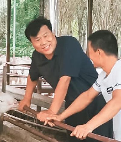 齡字五行屬什么及解釋？齡字屬于五行屬什么！