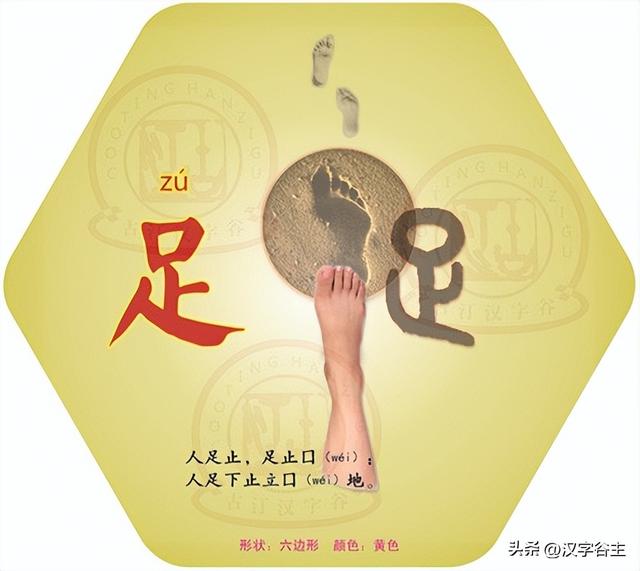 道開頭的成語有什么？道開頭的成語接龍大全！