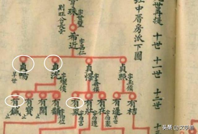 生僻字取名男孩有寓意？生僻字取名男孩虎！