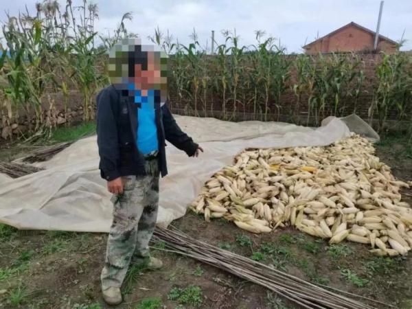 什地什么意思？這個(gè)地是什么意思！