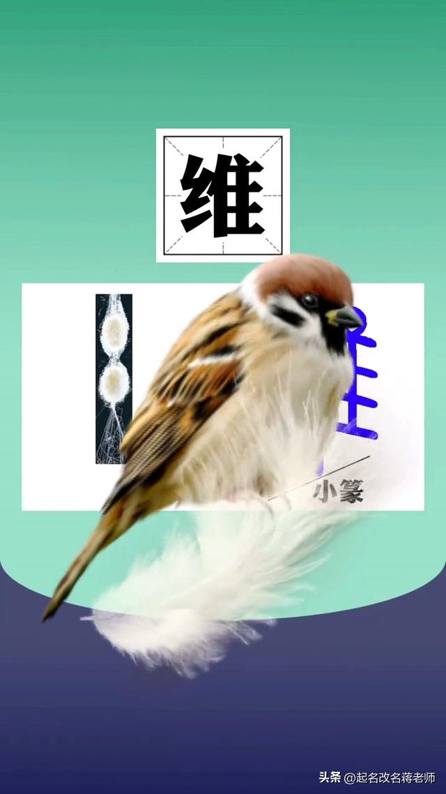 孩子起名測(cè)名打分免費(fèi)？寶寶起名免費(fèi)測(cè)名打分！
