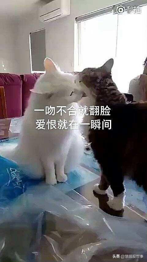 道開頭的成語大全四個字？然開頭的成語！