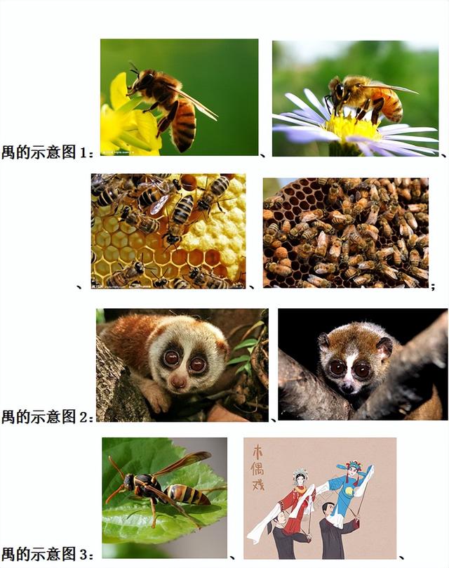騏的意思和五行屬性？騏五行屬性！