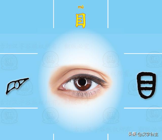 道開頭的成語有什么？道開頭的成語接龍大全！