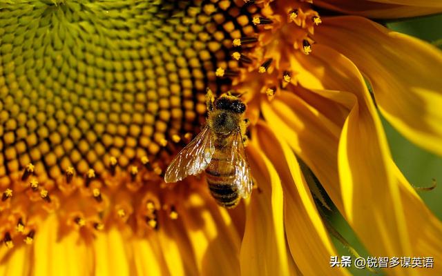 命開頭的成語？合開頭的成語接龍大全集最長調(diào)！