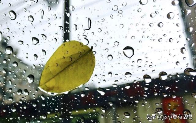 孤獨(dú)落寂的意思？寂寞寥落的意思！