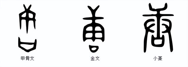 唐字五行屬什么屬性？唐字的五行屬性是什么！