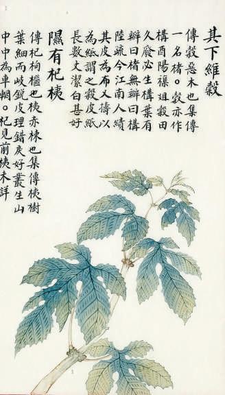 谷字五行屬什么屬性？谷字的五行屬性是什么！