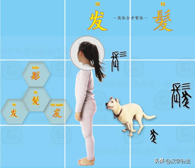 道開頭的成語有什么？道開頭的成語接龍大全！