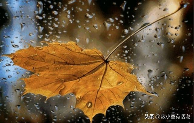 孤獨(dú)落寂的意思？寂寞寥落的意思！