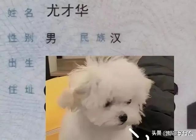 免費取名的網(wǎng)站？網(wǎng)站取名字大全！