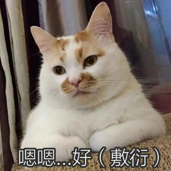 形狀的形的意思？形狀的狀的意思！