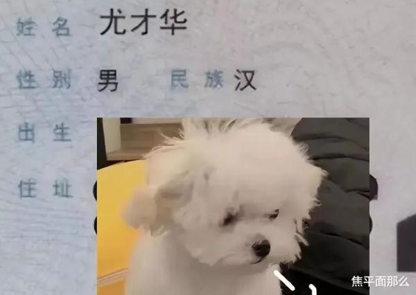 免費取名網(wǎng)有哪些網(wǎng)站？網(wǎng)站取名網(wǎng)！