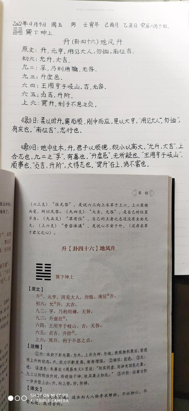 升字的意思和含義是什么？帶有上升意思的字！