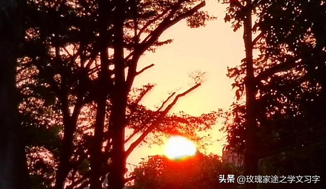 豐字筆順？豐字筆順筆畫！