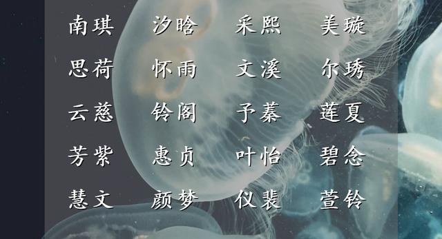 女孩昵稱文雅有氣質(zhì)？女孩昵稱文雅有氣質(zhì)微信！