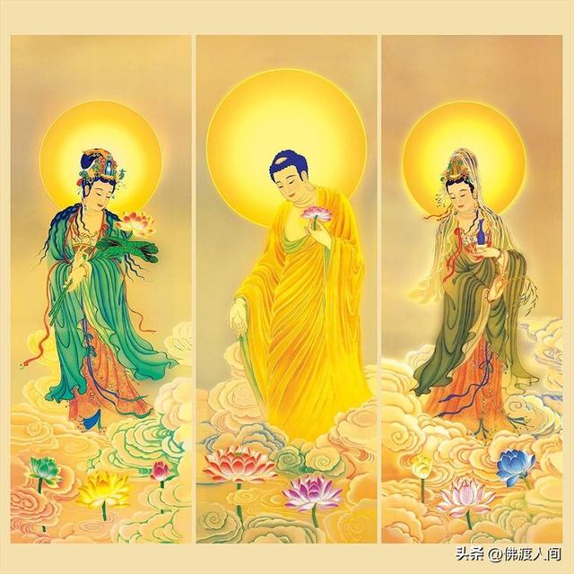度字五行屬什么的？度字屬于五行屬什么！