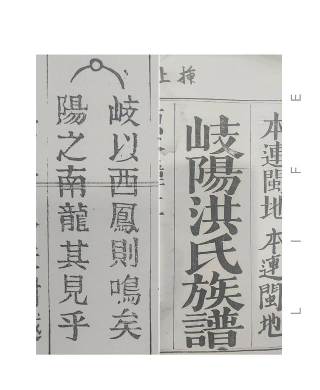 岐代表什么生肖迷底是什么？岐指什么生肖！