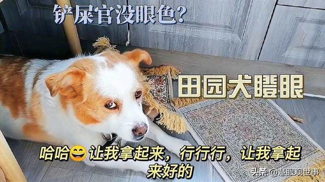 說(shuō)開(kāi)頭的成語(yǔ)？到開(kāi)頭的成語(yǔ)！