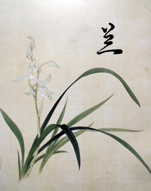 lan的成語(yǔ)開頭？爛的成語(yǔ)開頭！