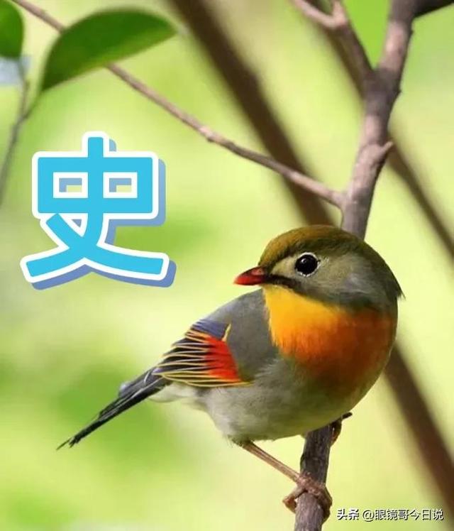 吳字取名男寶寶三個(gè)字？吳字取名男寶寶三個(gè)字的名字！