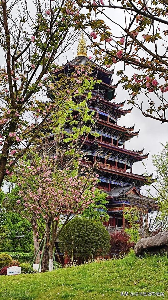 瑜字五行屬什么？瑜字五行屬什么屬性！