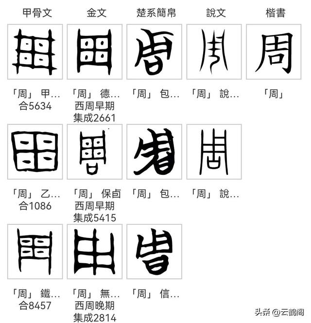 南字五行屬什么？康熙字典楠字五行屬什么！