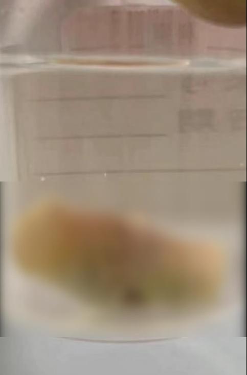 吐字的五行屬性是什么生肖？嚼字五行屬什么！