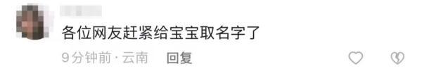 起名網(wǎng)免費(fèi)取名？在線取名！