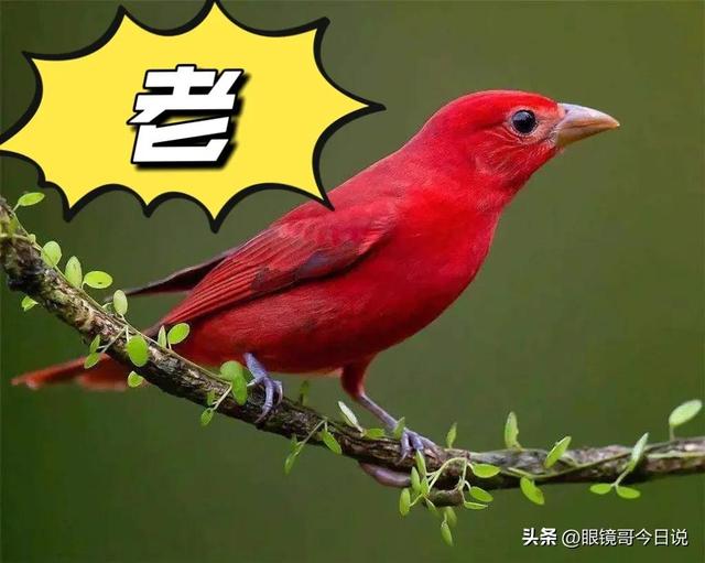 吳字取名男寶寶三個(gè)字？吳字取名男寶寶三個(gè)字的名字！