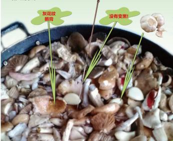 五行吐納術(shù)？發(fā)字的五行！