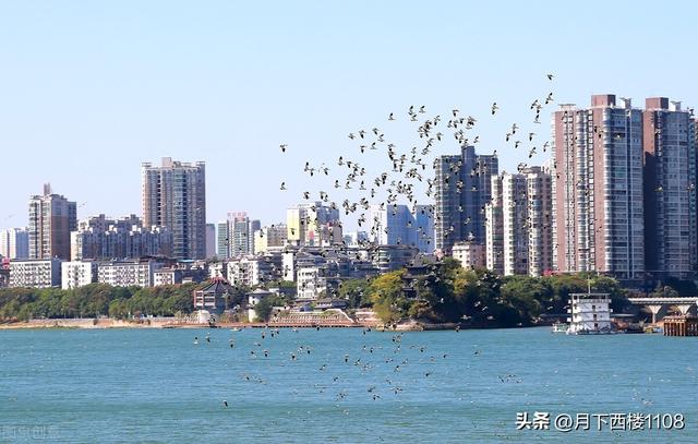 廖的五行屬性？廖的五行屬性是什么！