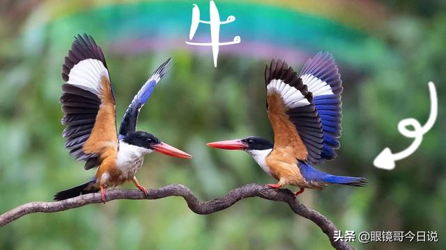 吳字取名男寶寶三個(gè)字？吳字取名男寶寶三個(gè)字的名字！