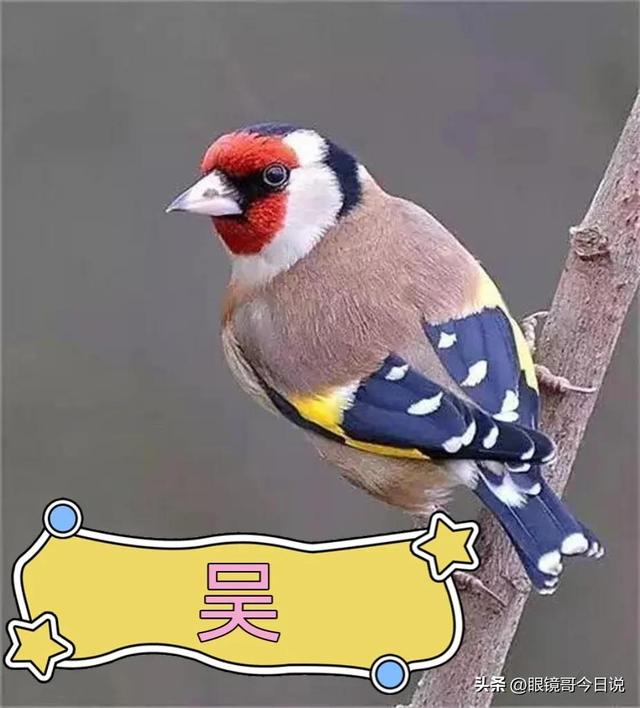 吳字取名男寶寶三個(gè)字？吳字取名男寶寶三個(gè)字的名字！