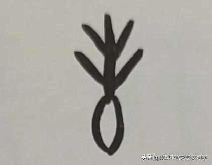豐字筆順？豐字筆順筆畫！