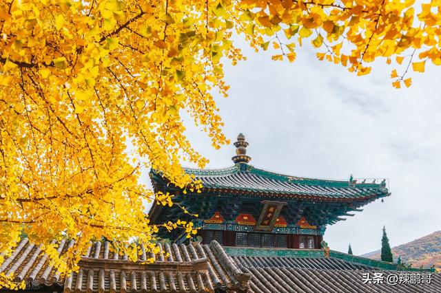將開頭的成語？將開頭的成語接龍！