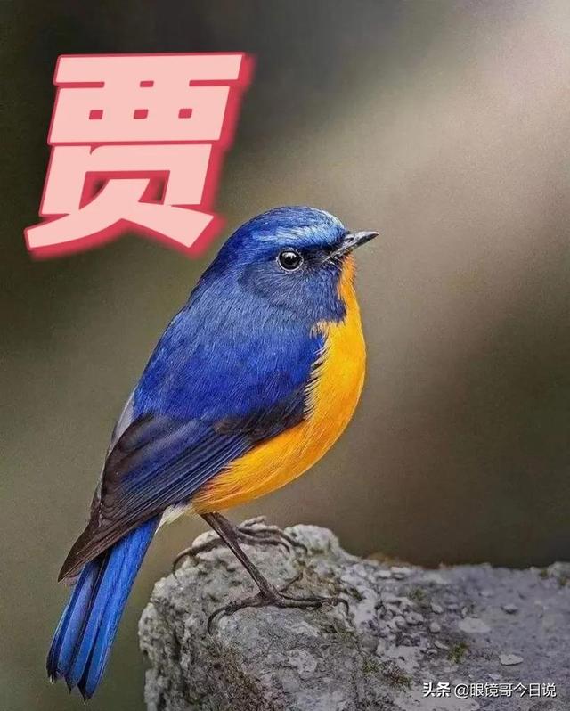 吳字取名男寶寶三個(gè)字？吳字取名男寶寶三個(gè)字的名字！