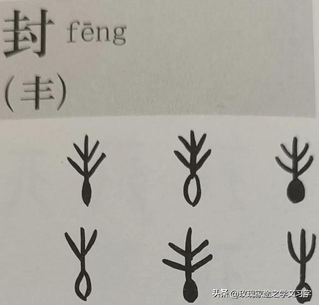 豐字筆順？豐字筆順筆畫！