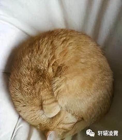 基五行屬于？礎(chǔ)的五行屬性！