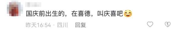 起名網(wǎng)免費(fèi)取名？在線取名！